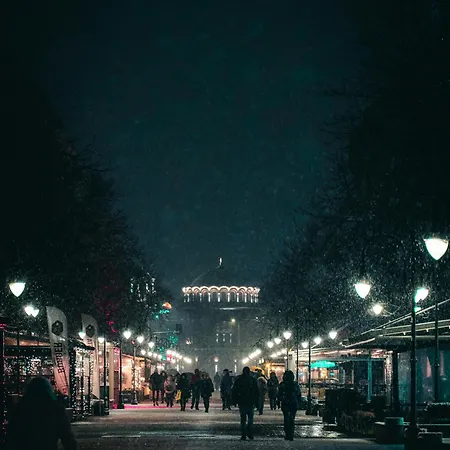 дитер 3*