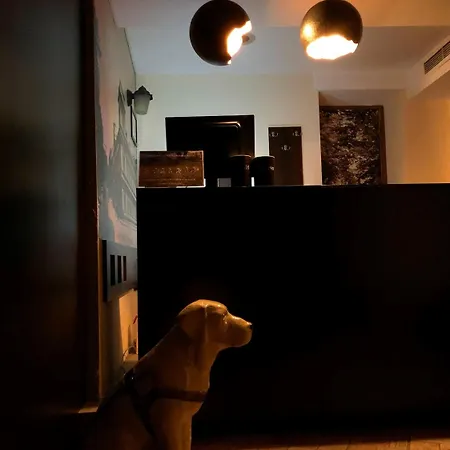 Hotel Diter Family 3*