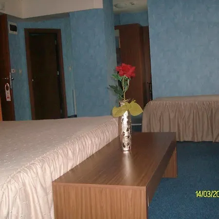 дитер 3*